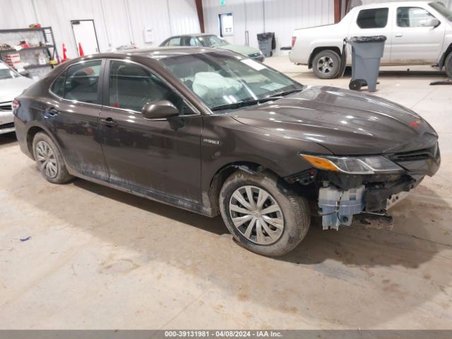 TOYOTA CAMRY 2019 4t1b31hk7ku515645