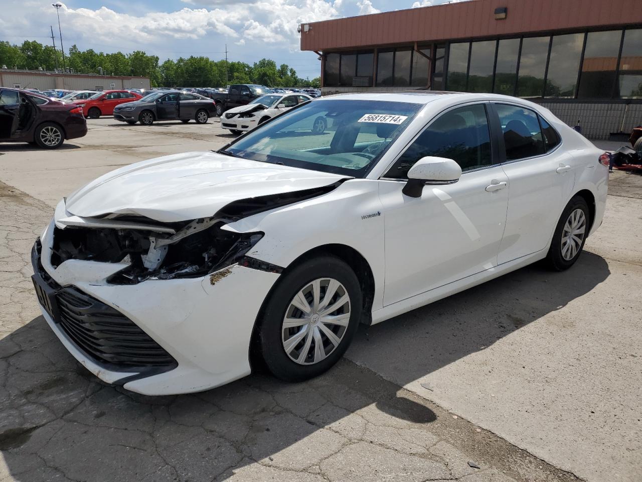 TOYOTA CAMRY 2018 4t1b31hk8ju003200