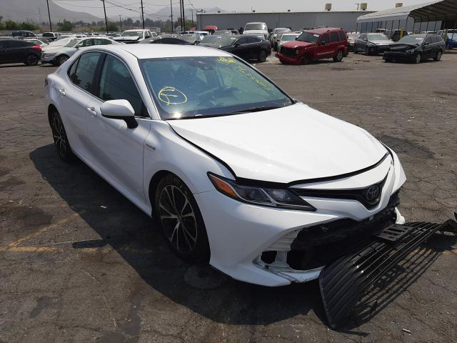 TOYOTA CAMRY LE 2019 4t1b31hk9ku008259