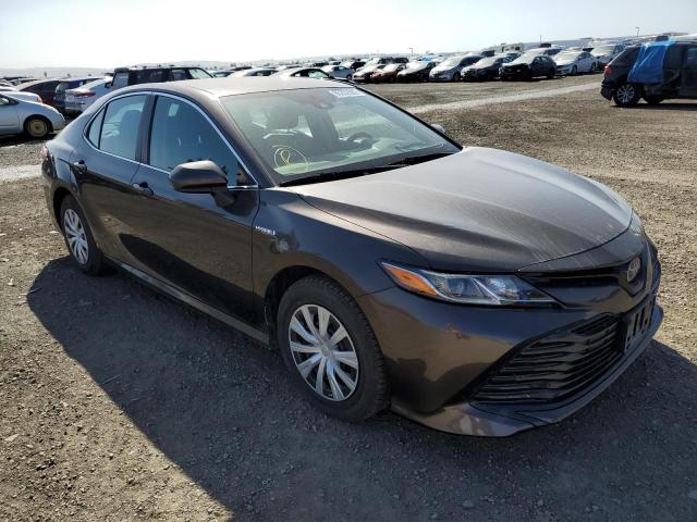 TOYOTA CAMRY LE 2019 4t1b31hk9ku517333