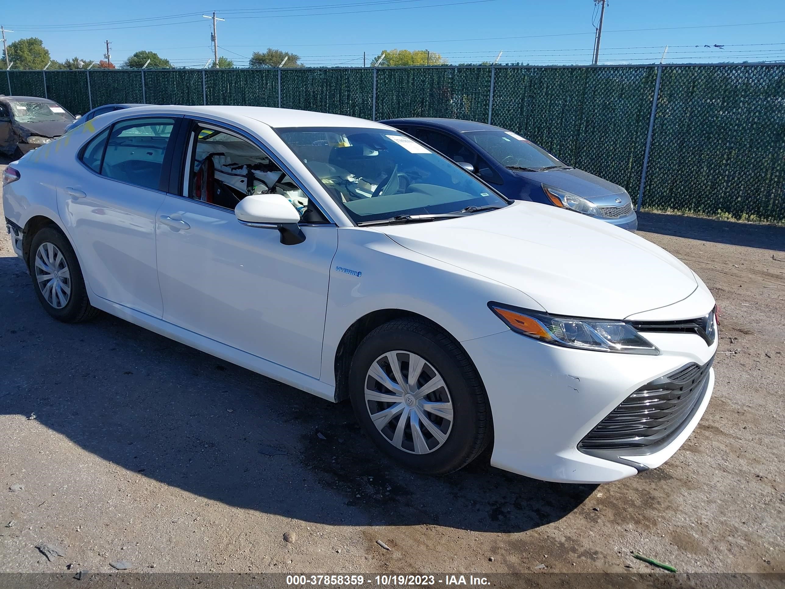 TOYOTA CAMRY 2019 4t1b31hkxku004995