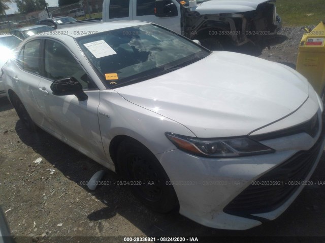 TOYOTA CAMRY 2019 4t1b31hkxku005306