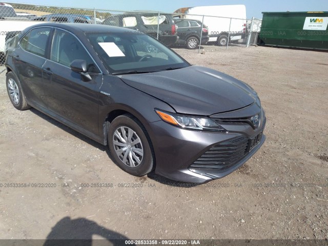 TOYOTA CAMRY 2019 4t1b31hkxku005886