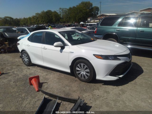 TOYOTA CAMRY 2019 4t1b31hkxku006892