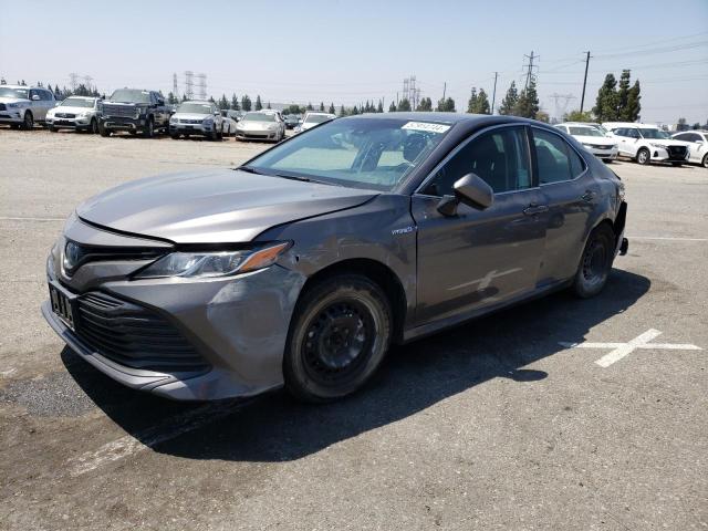 TOYOTA CAMRY 2019 4t1b31hkxku516336