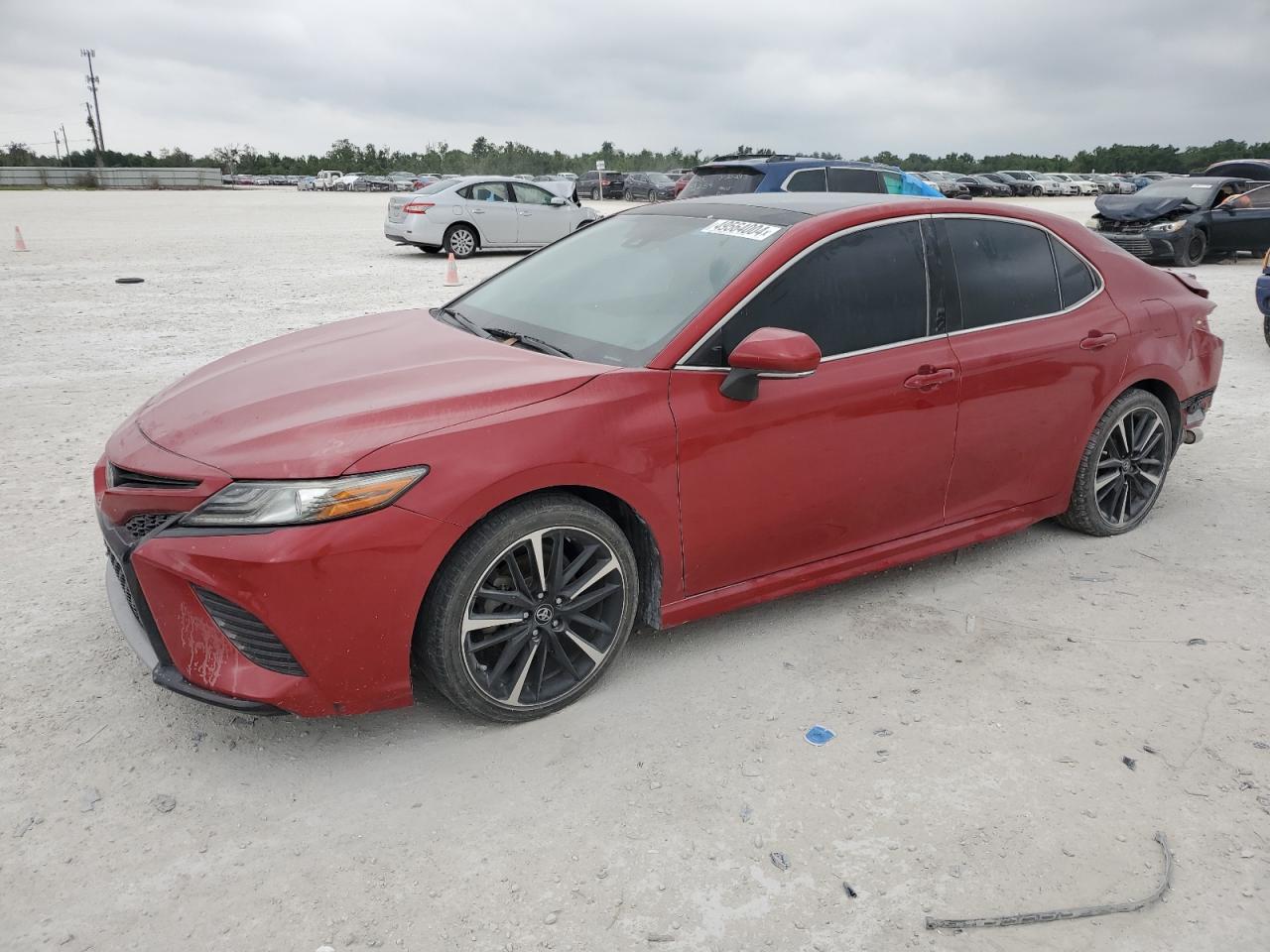 TOYOTA CAMRY 2019 4t1b61hk5ku221913