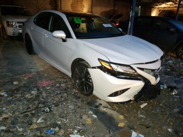 TOYOTA CAMRY XSE 2019 4t1b61hkxku700327