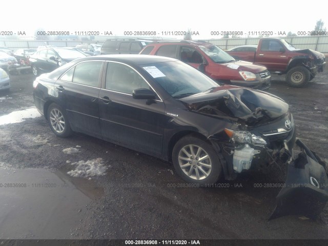 TOYOTA CAMRY HYBRID 2010 4t1bb3ek3au125546