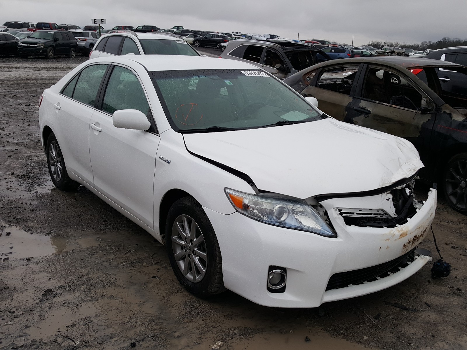 TOYOTA CAMRY HYBR 2011 4t1bb3ek3bu137939