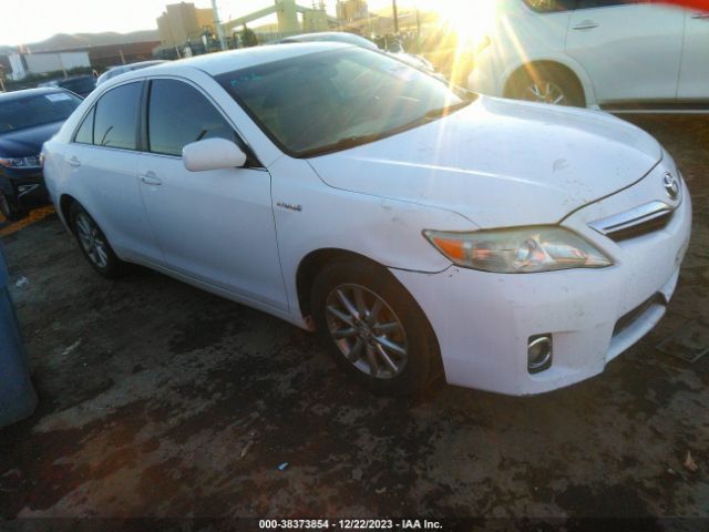 TOYOTA CAMRY HYBRID 2010 4t1bb3ek5au119084