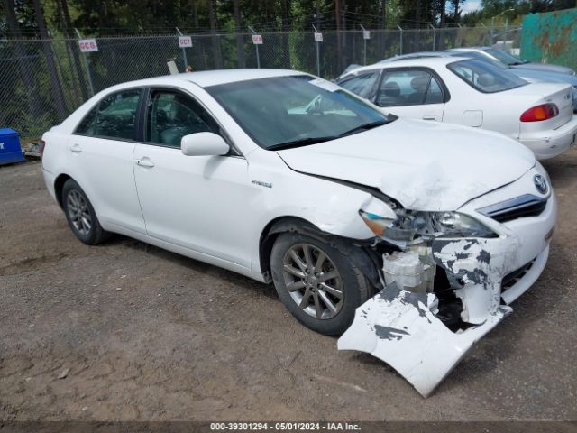 TOYOTA CAMRY HYBRID 2010 4t1bb3ek6au120440