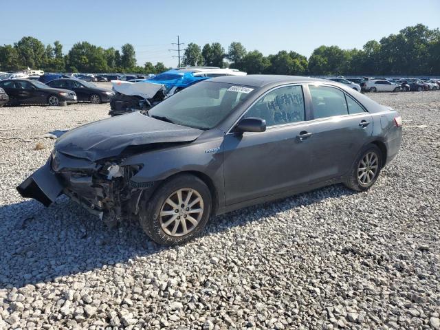 TOYOTA CAMRY HYBR 2010 4t1bb3ek8au116194