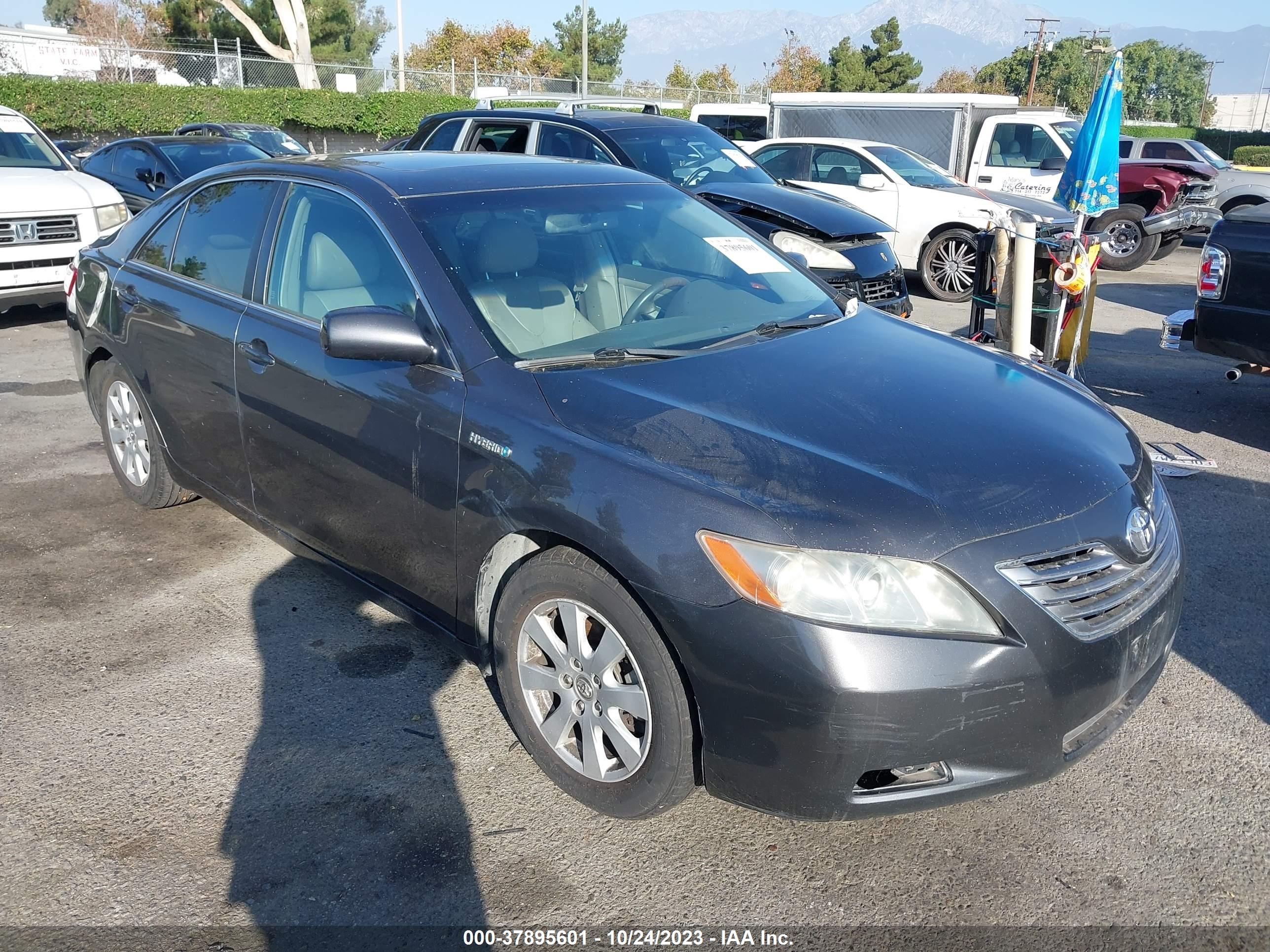 TOYOTA CAMRY 2009 4t1bb46k09u079187