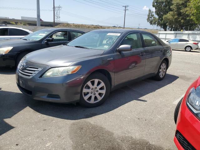 TOYOTA CAMRY 2009 4t1bb46k09u080596