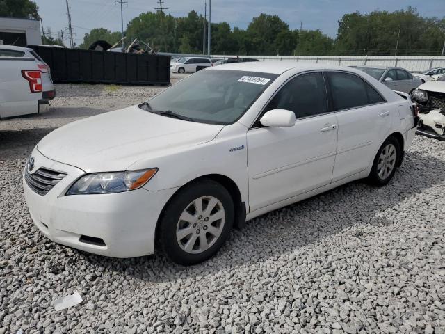 TOYOTA CAMRY HYBR 2009 4t1bb46k29u088523