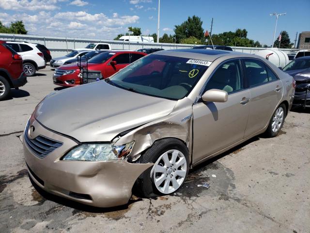 TOYOTA CAMRY HYBR 2009 4t1bb46k29u096220