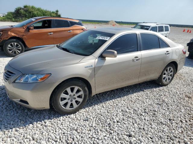 TOYOTA CAMRY HYBR 2009 4t1bb46k49u101384