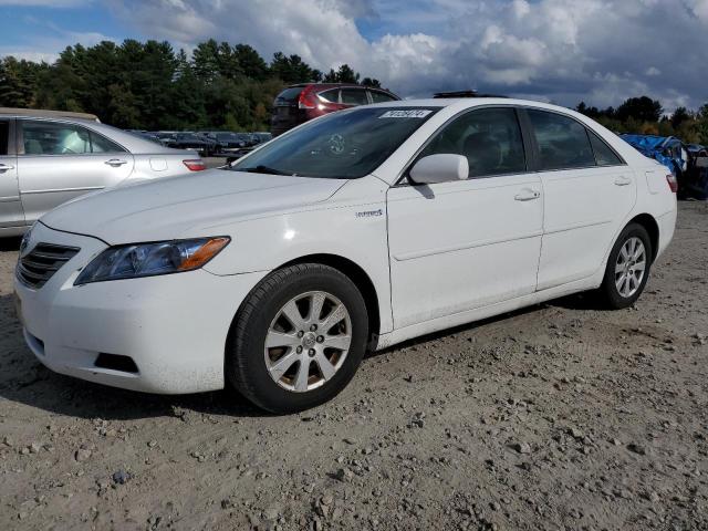 TOYOTA CAMRY HYBR 2009 4t1bb46k59u092839