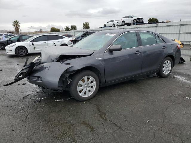 TOYOTA CAMRY HYBR 2009 4t1bb46k59u093148