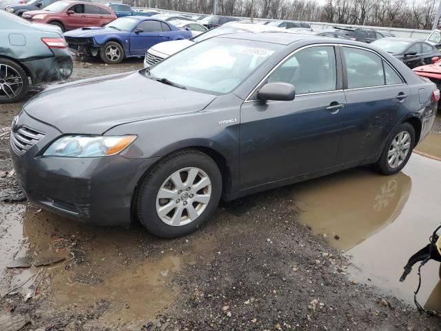 TOYOTA CAMRY 2009 4t1bb46k69u084121