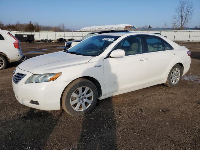 TOYOTA CAMRY 2009 4t1bb46k69u092252