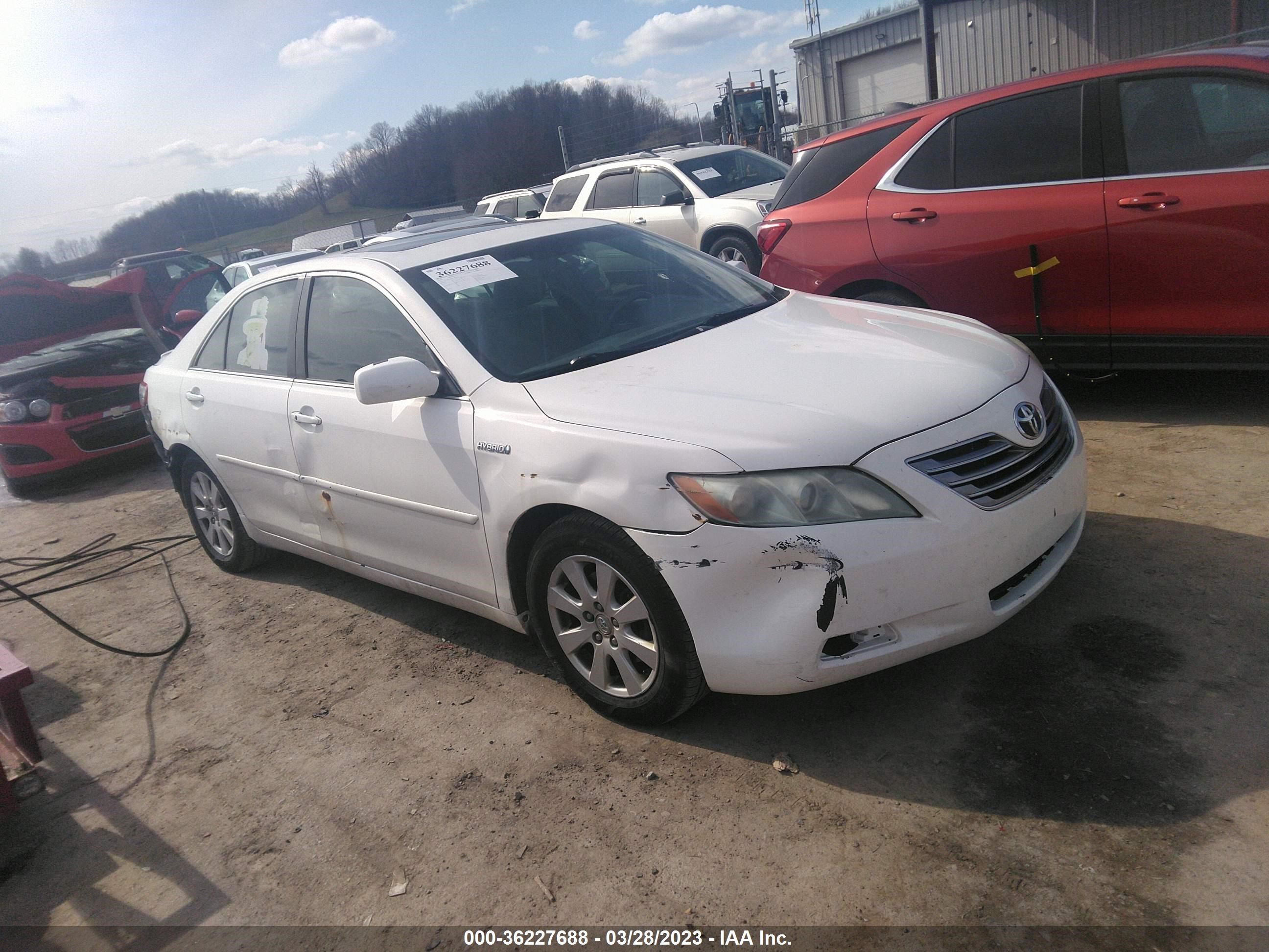 TOYOTA CAMRY 2009 4t1bb46k69u095748