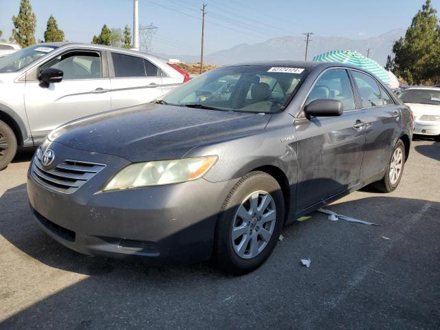 TOYOTA CAMRY 2009 4t1bb46k79u064492