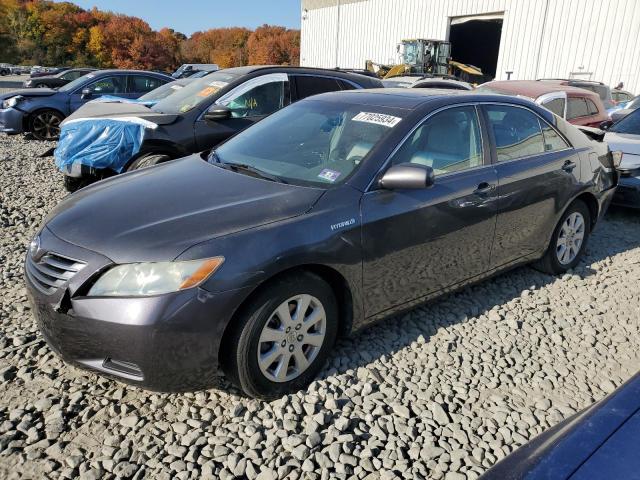 TOYOTA CAMRY HYBR 2009 4t1bb46k79u108118