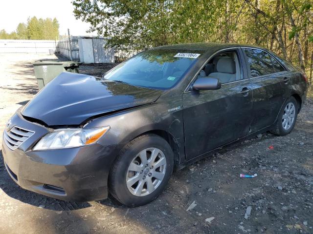 TOYOTA CAMRY HYBR 2009 4t1bb46k99u085280