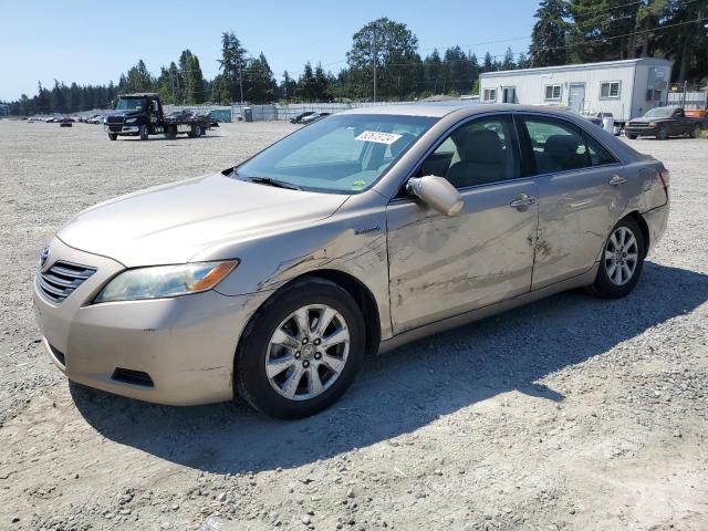 TOYOTA CAMRY 2009 4t1bb46k99u103275