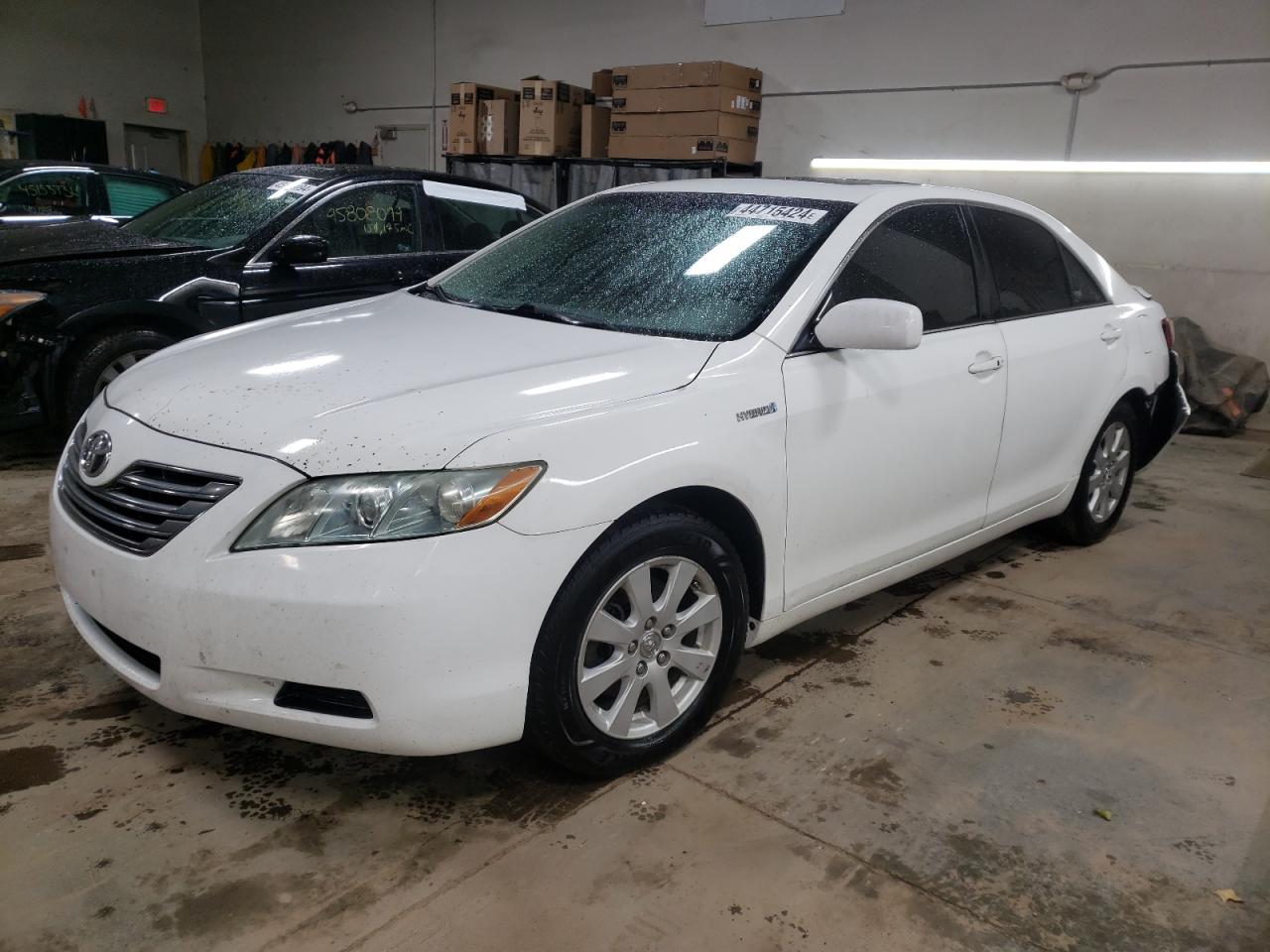 TOYOTA CAMRY 2009 4t1bb46kx9u080914