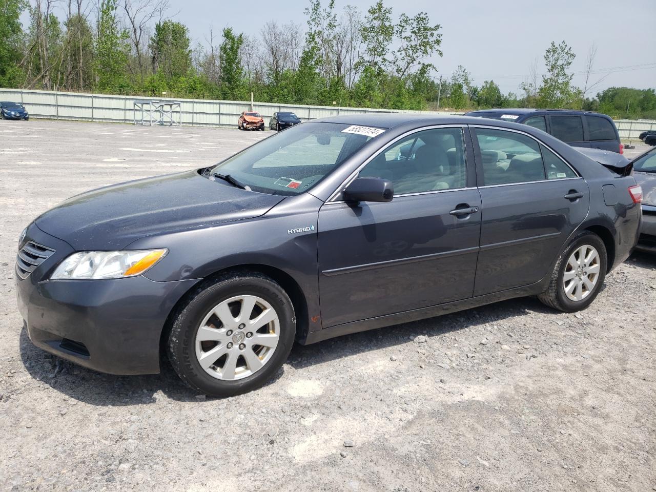 TOYOTA CAMRY 2009 4t1bb46kx9u100854