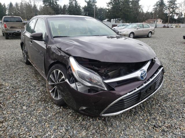 TOYOTA AVALON HYB 2016 4t1bd1eb2gu051303