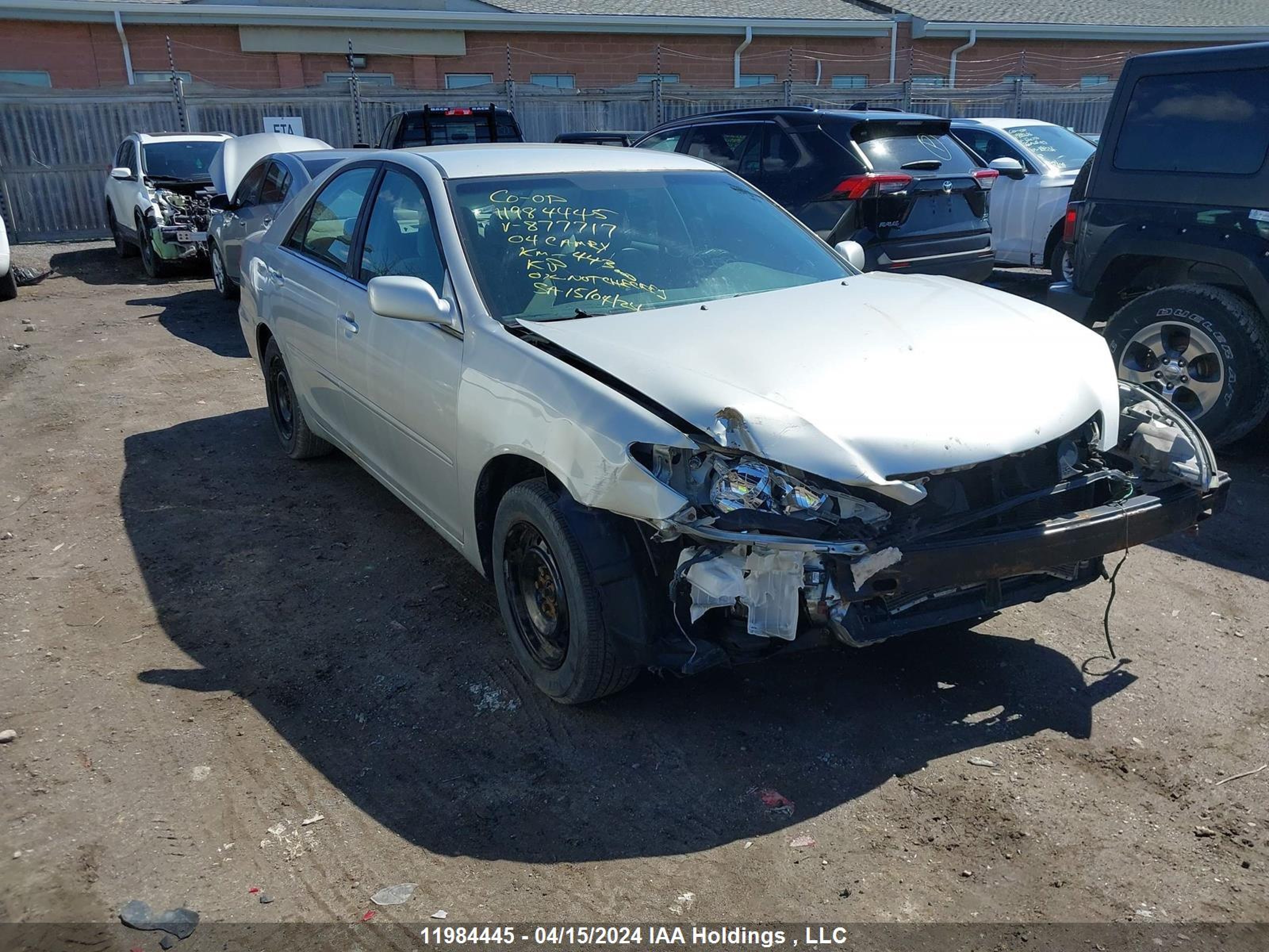 TOYOTA CAMRY 2004 4t1be32k54u877717