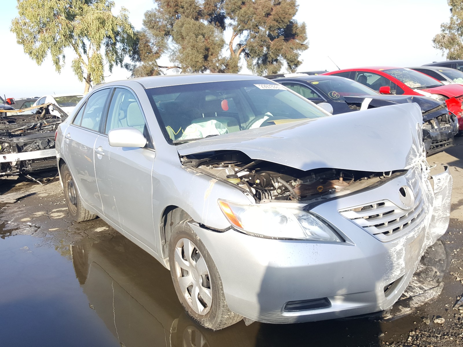 TOYOTA CAMRY BASE 2009 4t1be46k09u377701