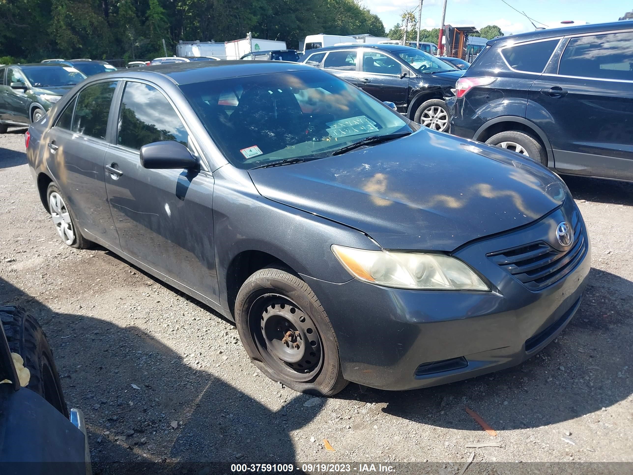 TOYOTA CAMRY 2009 4t1be46k19u275033