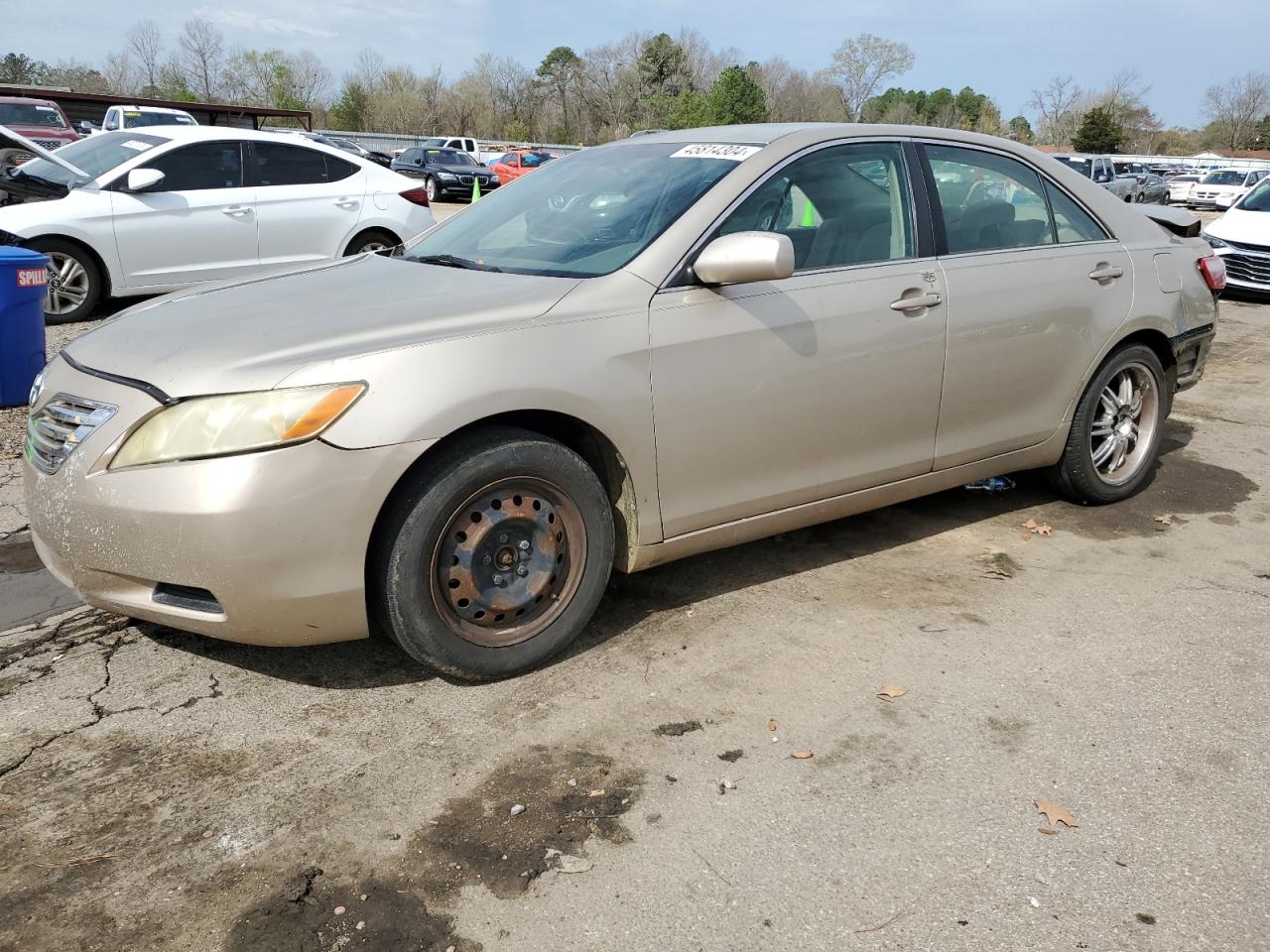 TOYOTA CAMRY 2009 4t1be46k19u835603