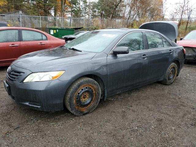 TOYOTA CAMRY 2009 4t1be46k29u384181