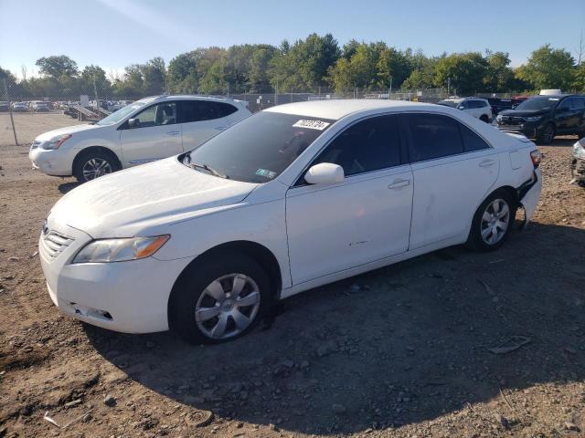 TOYOTA CAMRY BASE 2009 4t1be46k29u885667