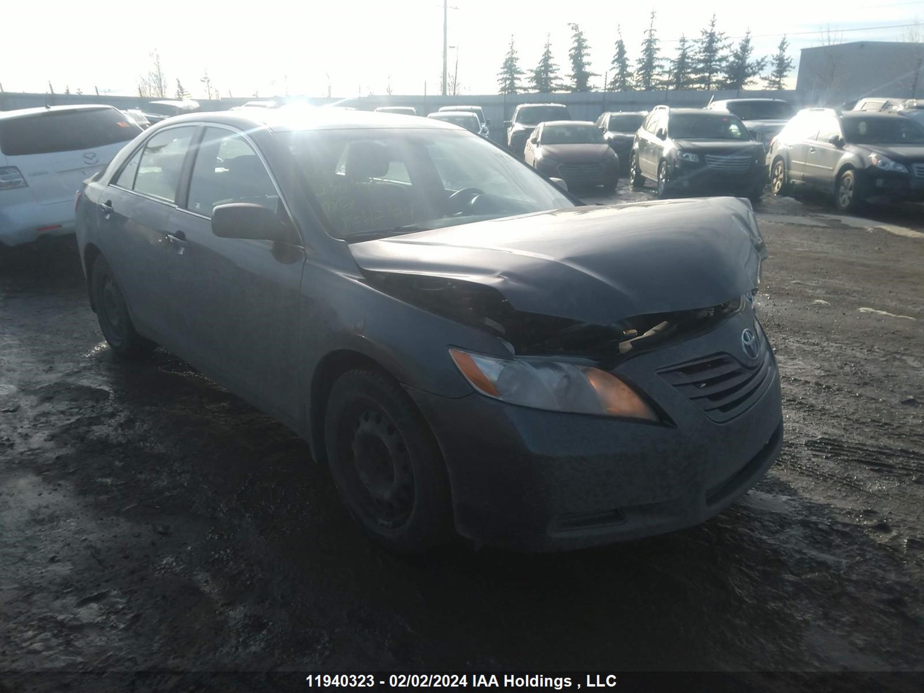 TOYOTA CAMRY 2009 4t1be46k39u265507