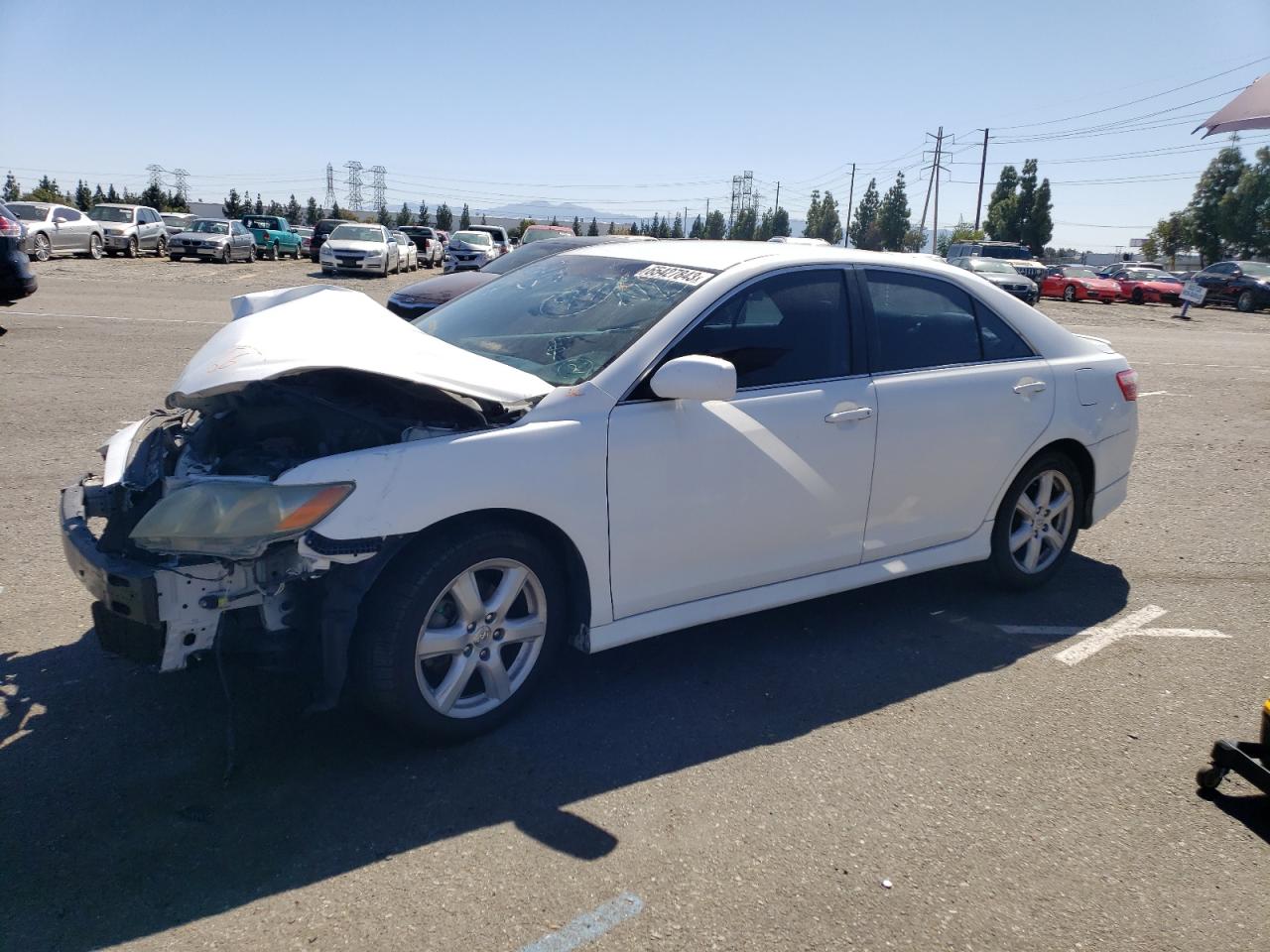 TOYOTA CAMRY 2009 4t1be46k49u905112