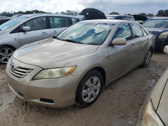 TOYOTA CAMRY BASE 2009 4t1be46k59u294197