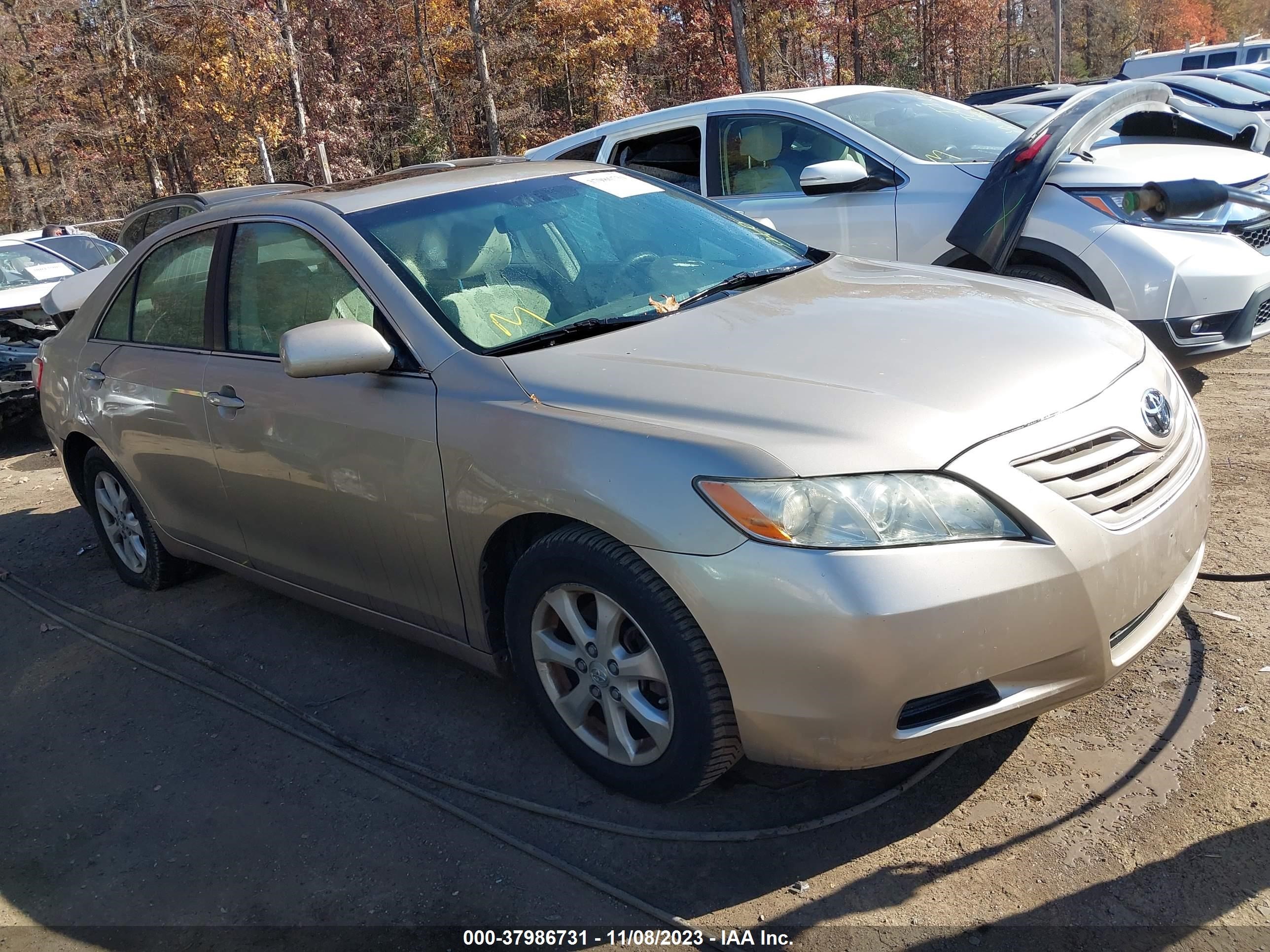 TOYOTA CAMRY 2009 4t1be46k69u335761