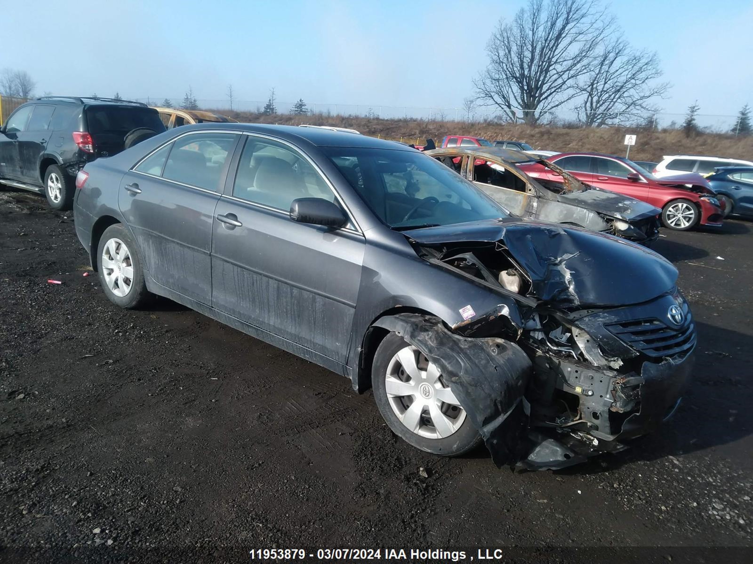 TOYOTA CAMRY 2009 4t1be46k79u272203