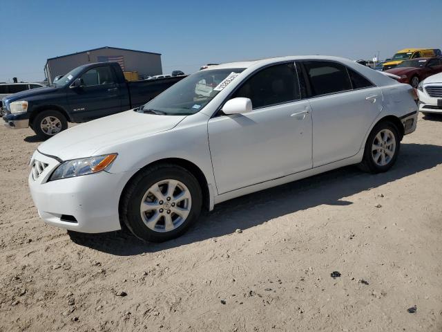 TOYOTA CAMRY BASE 2009 4t1be46kx9u901517