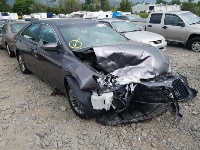 TOYOTA CAMRY LE 2015 4t1bf1fk0fu036239