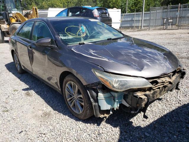 TOYOTA CAMRY LE 2015 4t1bf1fk0fu934131