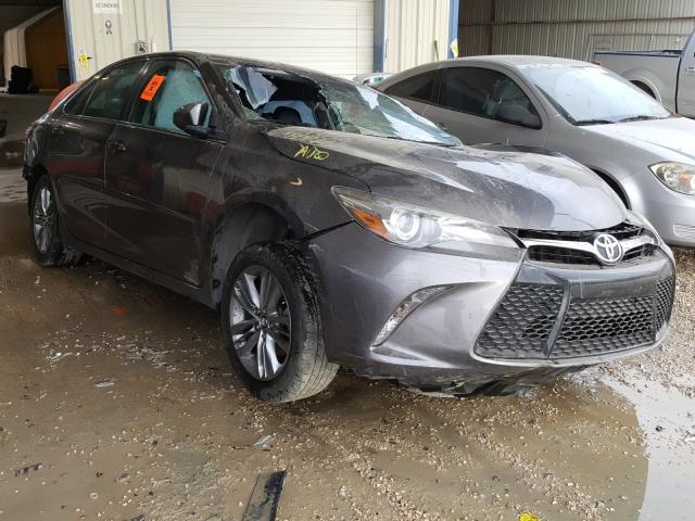 TOYOTA CAMRY LE 2016 4t1bf1fk0gu122457