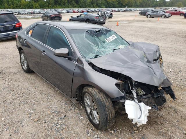 TOYOTA CAMRY LE 2016 4t1bf1fk0gu216760