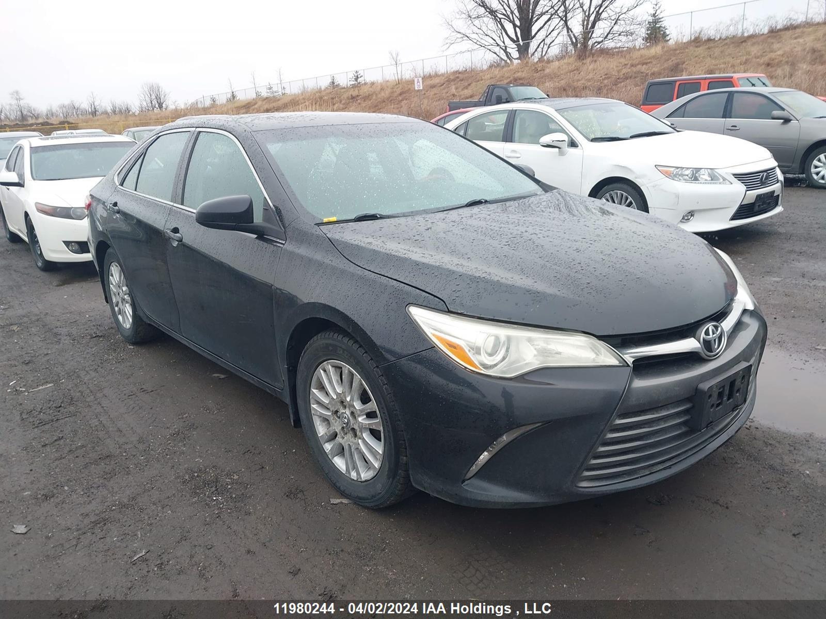 TOYOTA CAMRY 2016 4t1bf1fk0gu260645